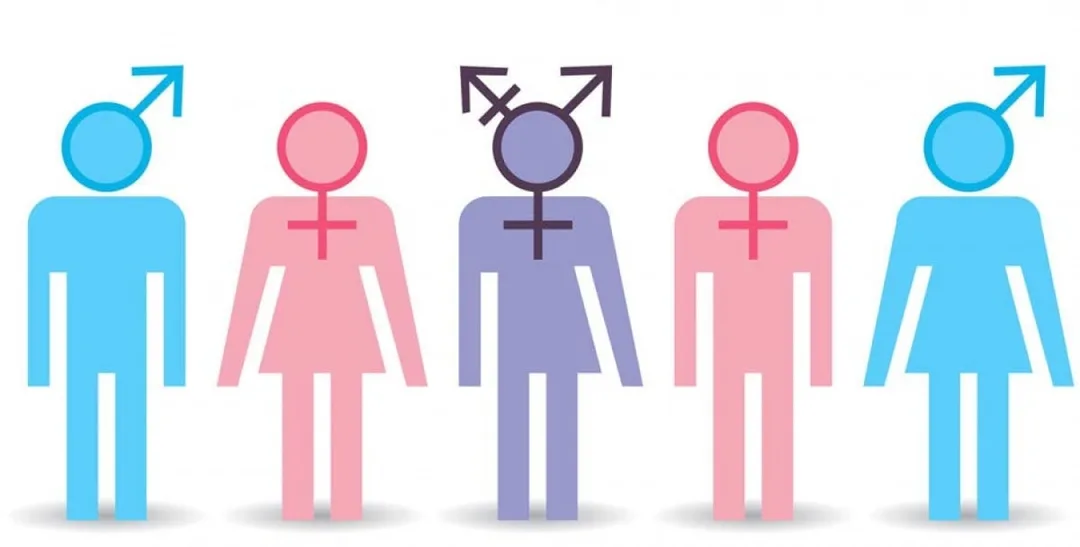 Trans, transgender, transsexuell - Was bedeutet das eigentlich? - Coverbild
